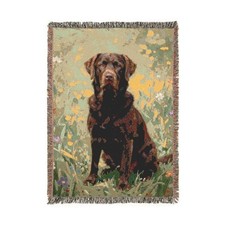 Chocolate Labrador Retriever
