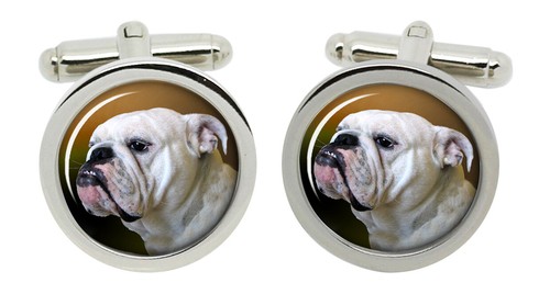 Inglese bulldog gemelli - bulldog, in