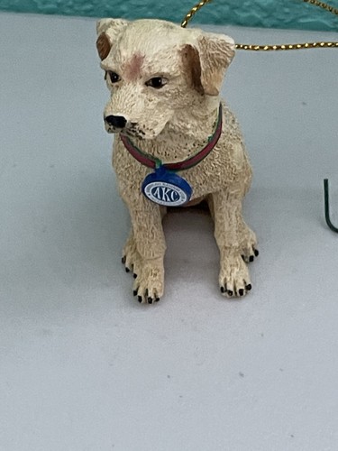 American kennel club - american,