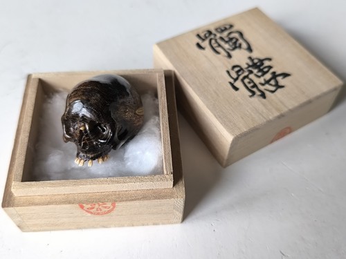 Memento mori coral skull - mori,