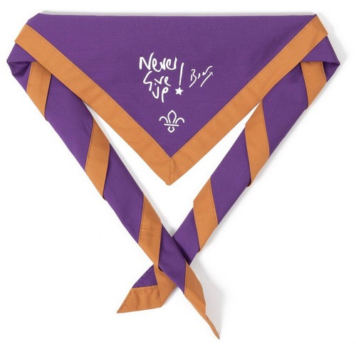 Gilwell never give - never,