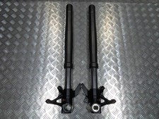 Gambe forcella anteriore