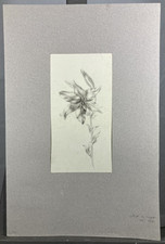 Disegno A Matita Arte Nouveau