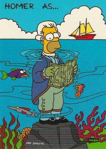 The simpsons down - under, homer