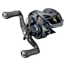 DAIWA STEEZ A TW HLC 8.1R