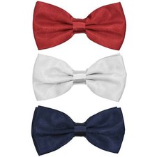 Papillon uomo elegante - papillon,