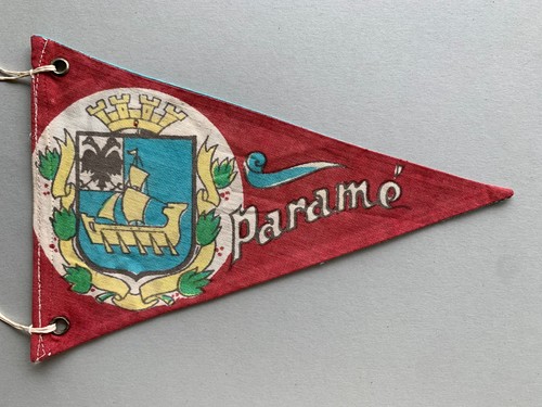 Fanion paramé rothéneuf - fanion,