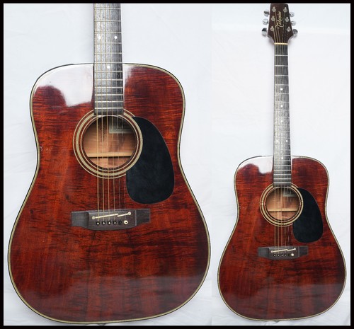 Takamine 207 hawaiian koa - hawaiian,