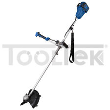 DECESPUGLIATORE TAGLIAERBA