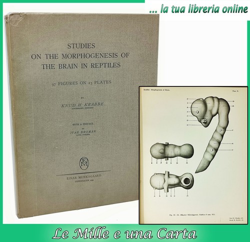 Libro zoologia embriologia - libro,