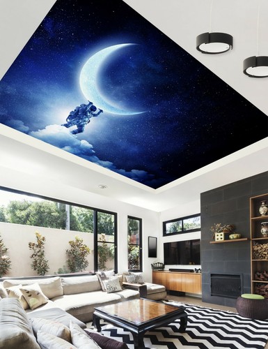 Mond astronaut 3648 - mond,