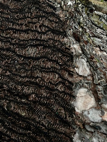 Tessuto misto lino - , cotone