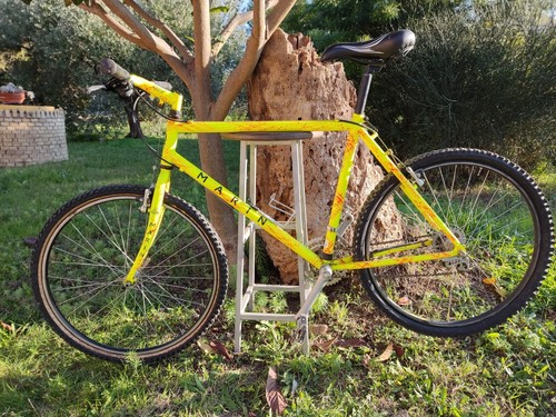 Mountain bike marin modello - bike,