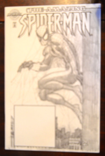 The amazing spider man 1 - spider-man, #1