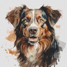 Pastore australiano cucciolo