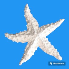 10x Gessetti Stella marina