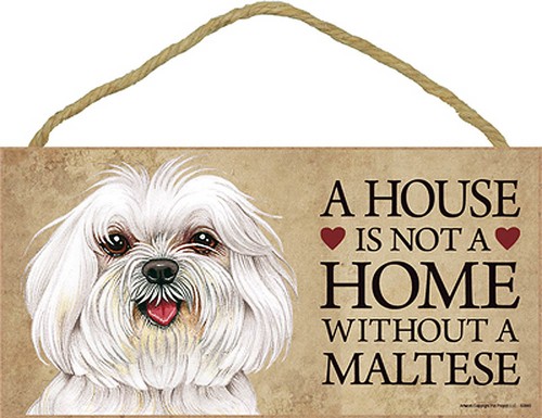 Maltese legno cane - legno,