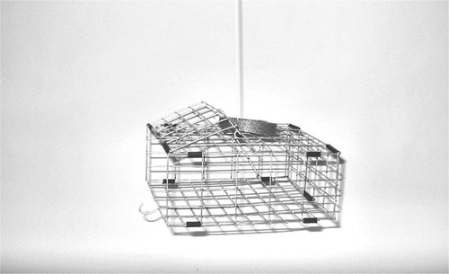 Trappola per granchi tackle - trappola,