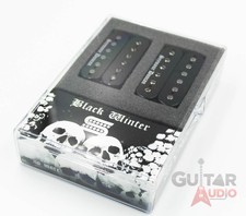 Coppia di pickup per chitarra