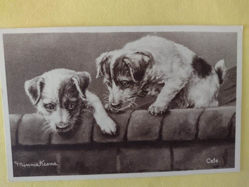Minnie keene cats dog art - minnie,