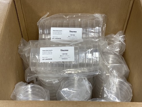 Thermo biolite piatti - (150),