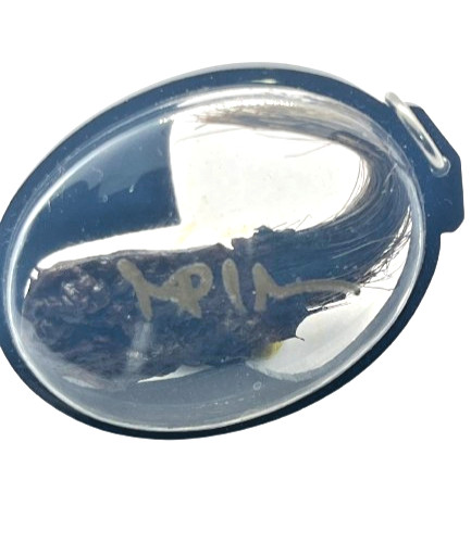Amuleto sacro setole - amuleto,