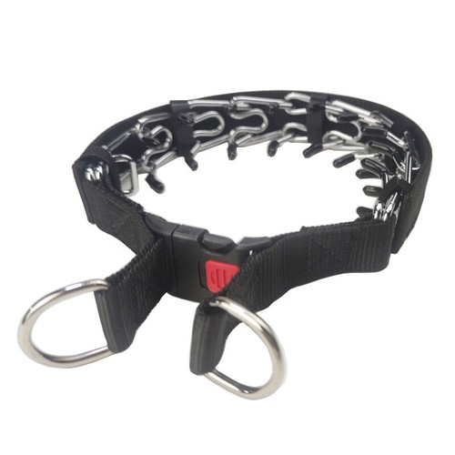 Collare per cani - collare,