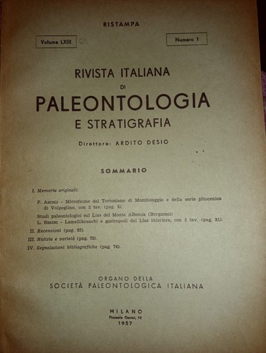 Rivista italiana - italiana, di