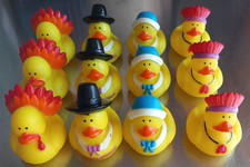 Anatre assortite del