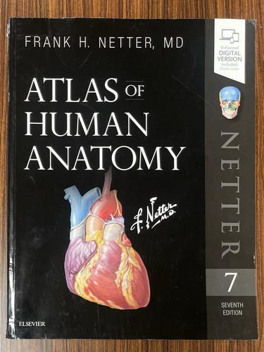 Netter atlas human - netter, anatomy