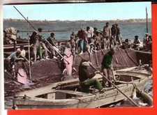CARTOLINA   FAVIGNANA  ACQU  VIAGGIATA   1971 PESCA DEL TONNO E PESCESPADA