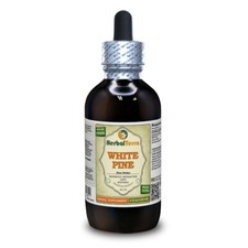 White Pine (Pinus Strobus)