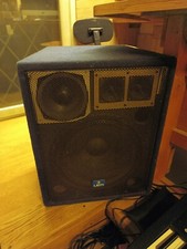 casse attive 500W Lem cono da 15", struttura in legno e griglia di protezione