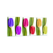 Quadro su Vetro 120x50cm