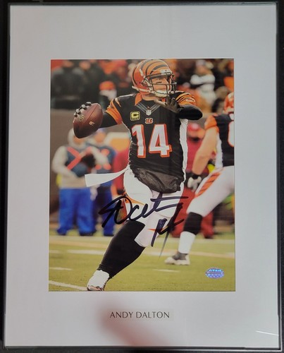 Andy dalton foto - foto, autografata