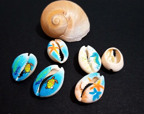 5pz perle conchiglia ciprea - 5pz, di