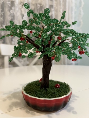 Statuina bonsai ciliegio - bonsai, di