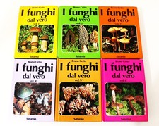 I Funghi Dal Vero - Cetto