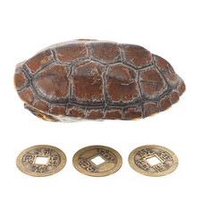  1 Set Guscio di tartaruga