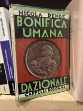 Pende bonifica umana - pende,