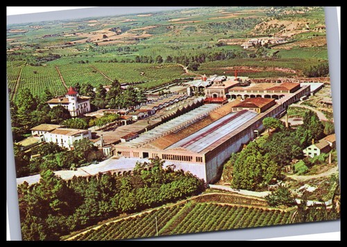 Cartolina cavas codorniu - cartolina,