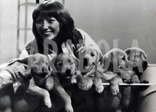 Foto vintage Animali, Lesley Judd e sei cuccioli di labrador, stampa 21 x 15 cm