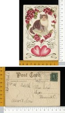 V0954] VALENTINE SAN VALENTINO - CUORE DI ROSA CANINA E GATTO _ RILIEVO 1908