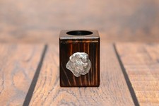 Bovaro delle Fiandre -