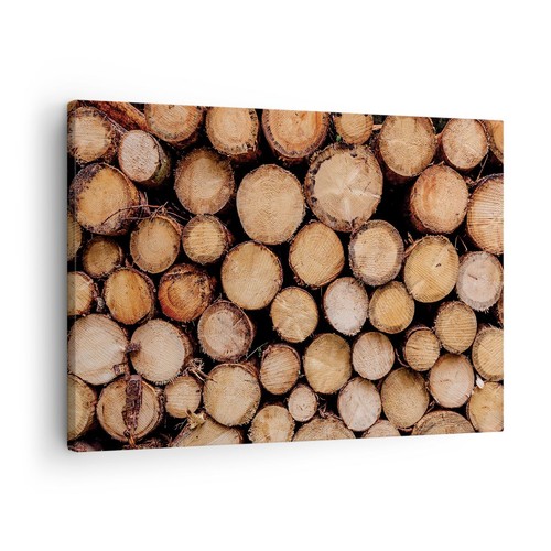 Quadro tela 70x50cm legno - su,