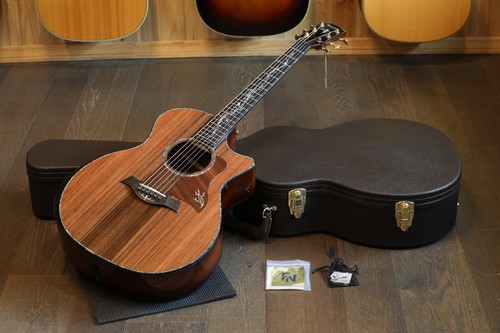 Mai giocato chitarra taylor - mai,