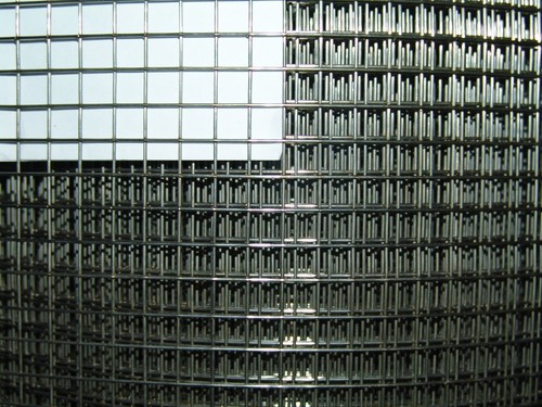 Filo voliera acciaio inox - , v2a
