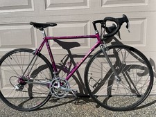 Colnago Master Piu, DECOR