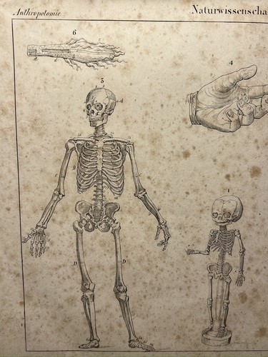 Litografia antica 1833 - litografia,