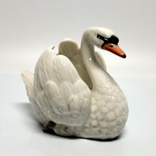 Cigno porcellana - in,
